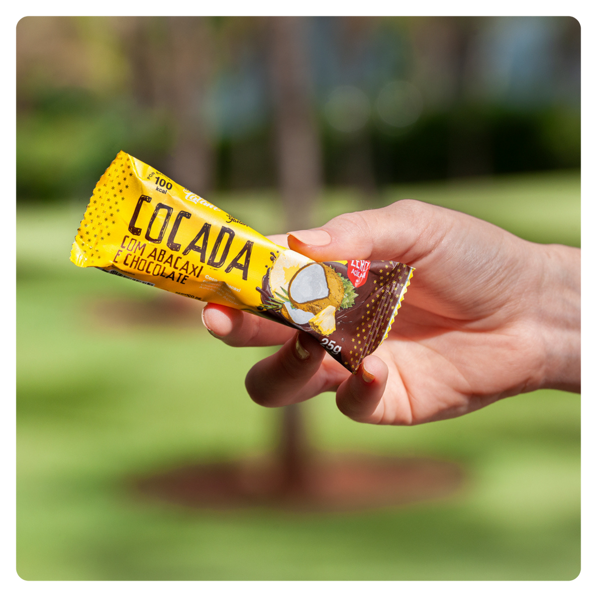 Cocada com Abacaxi e Chocolate Zero Açúcar - 300g